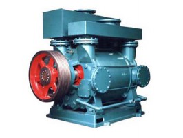 2BE系列水环真空泵