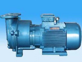 2BY系（xì）列真空泵