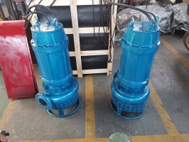 分體式管道（dào）泵